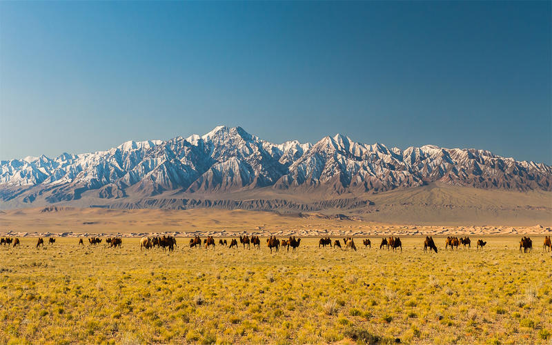 Sunpath Mongolia  2