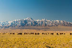 Sunpath Mongolia - Image 3