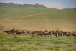 Sunpath Mongolia - Image 6