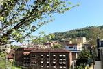 Surfer Paradise Donosti - Image 6