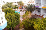 Octopus Hotel - Image 3