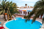 Octopus Hotel - Image 5