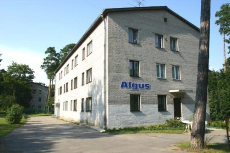 Algus Guesthouse  0