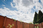 Newcastle East End - Image 2