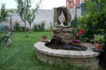B&b La Tartaruga - Image 2