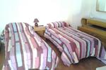B&b La Tartaruga - Image 4