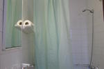 Micalo - Image 4