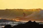 Ecosurfcamp - Image 7