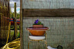 Ecosurfcamp - Image 8