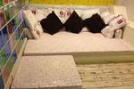 Silom Art Hostel - Image 7