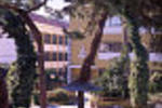 Hotel Vip Miramonte - Image 3