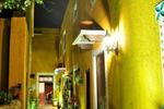 Casa Tia Micha - Image 6