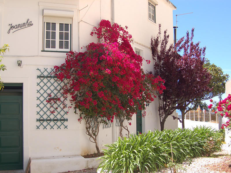 Villa Joaninha Algarve â€