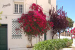 Villa Joaninha Algarve – Hostel da R...