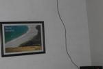 Costa Rica Love Hostel 2 - Image 6