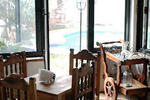 Villa de las Sonrisas - Image 6