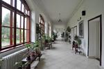 Hostel City Center (Nikolajevska) - Image 2