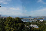 BaronGarden - Image 6