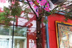 Home Hostel - Image 4
