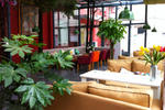 Home Hostel - Image 7