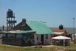 Viejo Lobo - Image 2