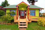 ToadLily House International Hostel - Image 1