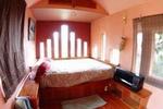 ToadLily House International Hostel - Image 7