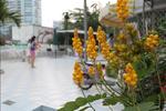 Haikou Twinstar Youth Hostel - Image 6