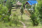Spicytao Backpackers - Image 3