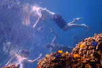 Spicytao Backpackers - Image 8