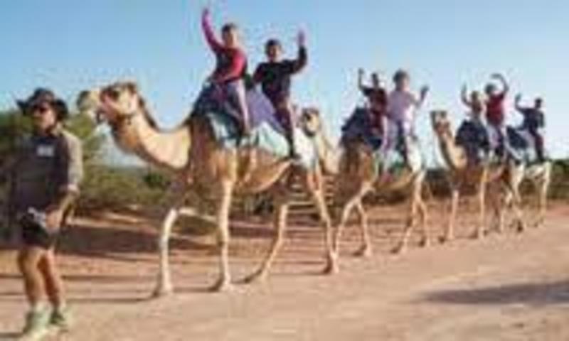 Enjoy Wadi Rum  2