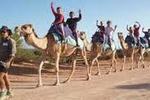 Enjoy Wadi Rum - Image 3
