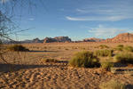 Enjoy Wadi Rum - Image 4