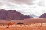 Enjoy Wadi Rum - Image 8