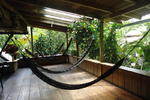 La Casa de Cecilia - Image 2