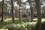 Camping Village Le Marze - Image 8