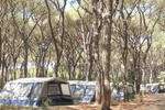 Camping Village Le Marze - Image 9