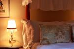 Dutch Manor Antique Hotel - Image 6