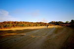 Worldsview Campsite - Image 6