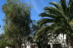 Photos of Karoopark Guest House