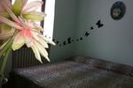 B&B Dal Custode - Image 5