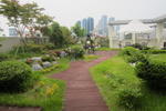 The New Day - Image 2