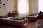 Black Apple - Image 4