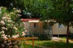 Camping Village Torre Pendente - Image 2