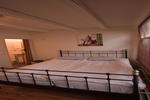 Dandelion Studio