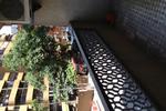 Odeon Guest House - Image 2