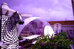 Sunset Destination Hostel - Image 5