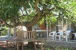 B&B Sardaferie - Image 8