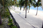Malapascua Blue Water Beach Divers - Image 2