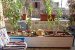 Byblos Fishing Club Huts - Image 5